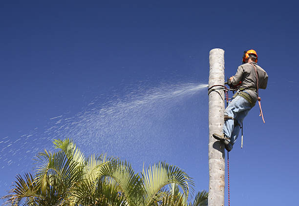 Landscape Design and Installation in Plaquemine, LA